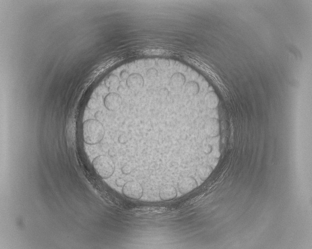 X0000115510626200912181446