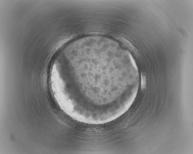 X0000115510627200912181446