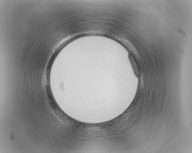 X0000115510628200912181446