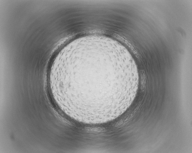 X0000115510629200912181446