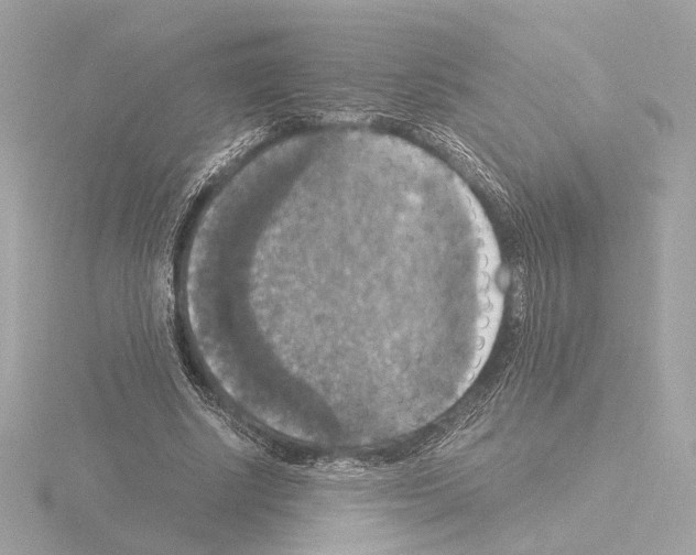 X0000115510634200912181446