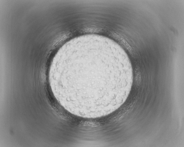 X0000115510635200912181446