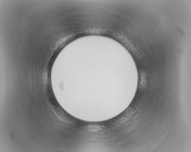 X0000115510636200912181446