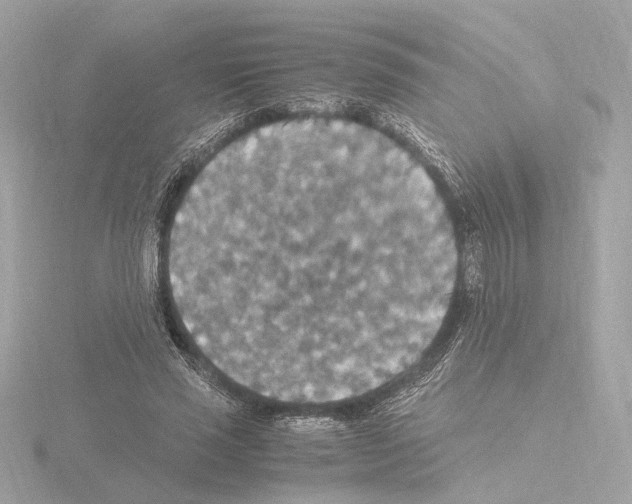 X0000115510637200912181446