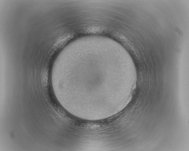 X0000115510640200912181446