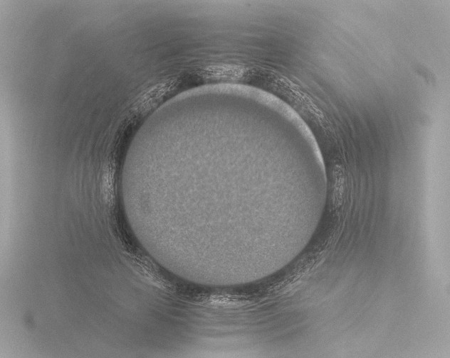 X0000115510641200912181446