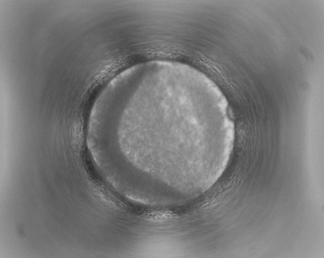 X0000115510642200912181446