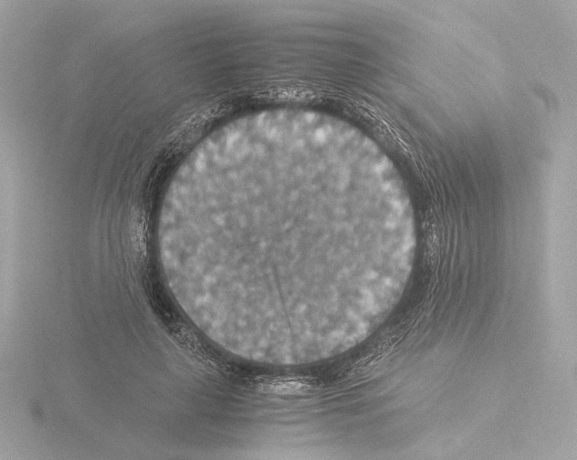 X0000115510643200912181446