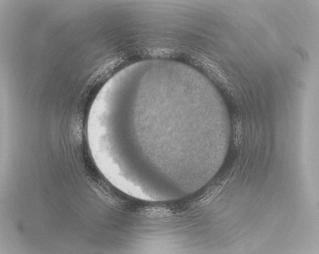 X0000115510644200912181446