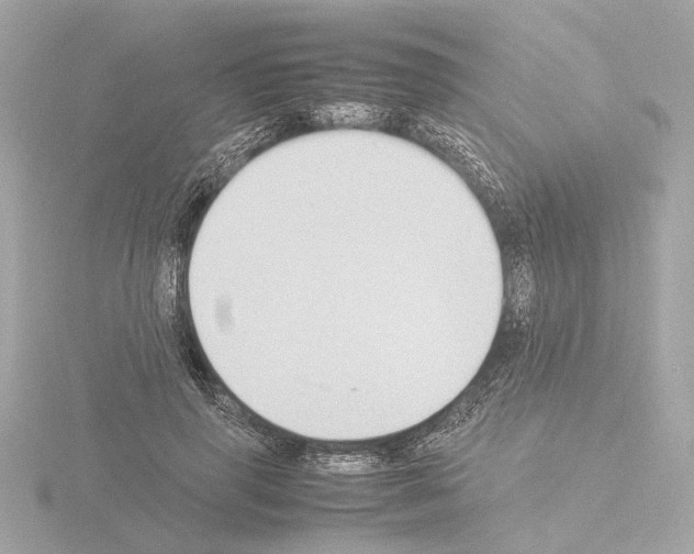 X0000115510645200912181446