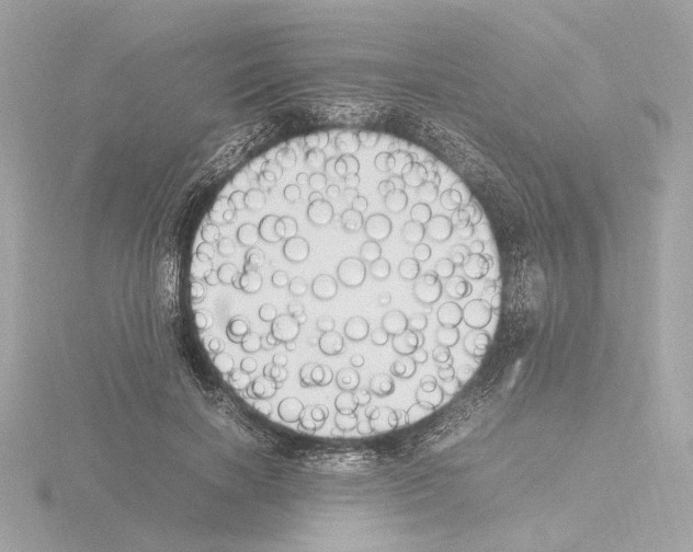 X0000115510646200912181446