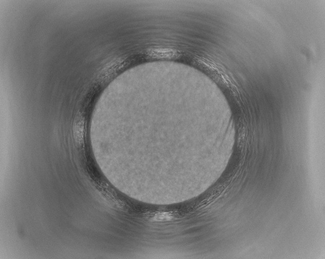 X0000115510647200912181446