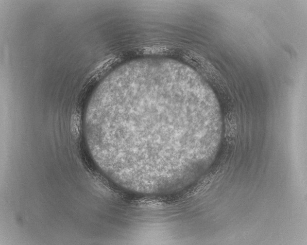 X0000115510648200912181446