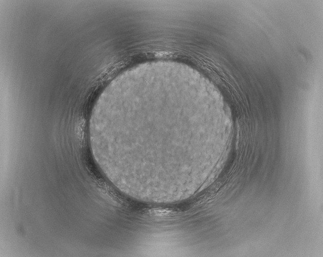 X0000115510650200912181446