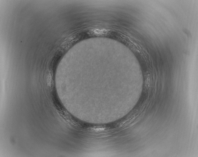 X0000115510651200912181446