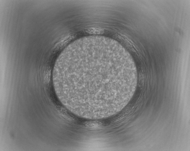 X0000115510652200912181446