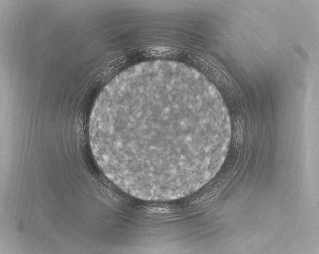 X0000115510653200912181446