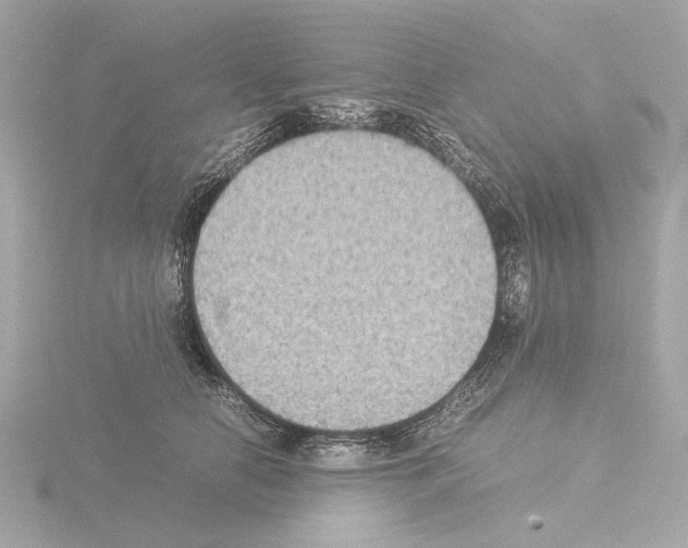 X0000115510658200912181446