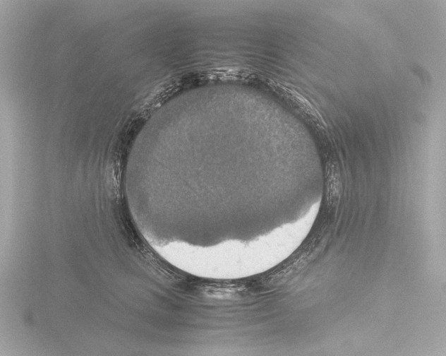 X0000115510661200912181446