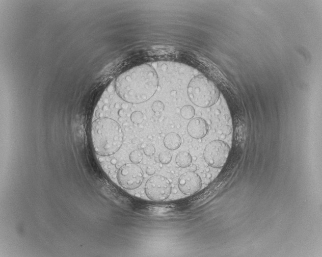 X0000115510662200912181446