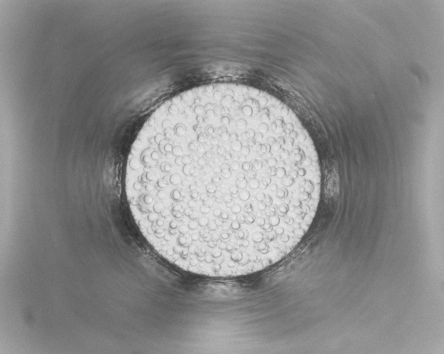 X0000115510666200912181446