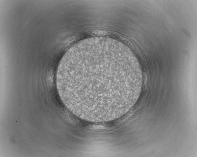 X0000115510668200912181446