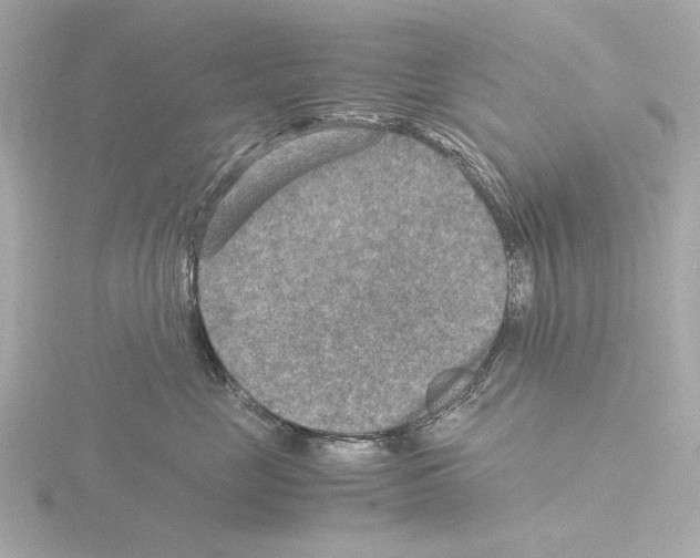 X0000115510669200912181446