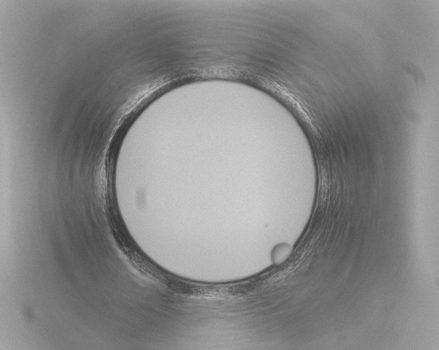 X0000115510674200912181445