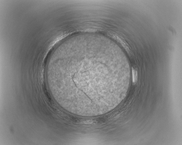 X0000115510675200912181445