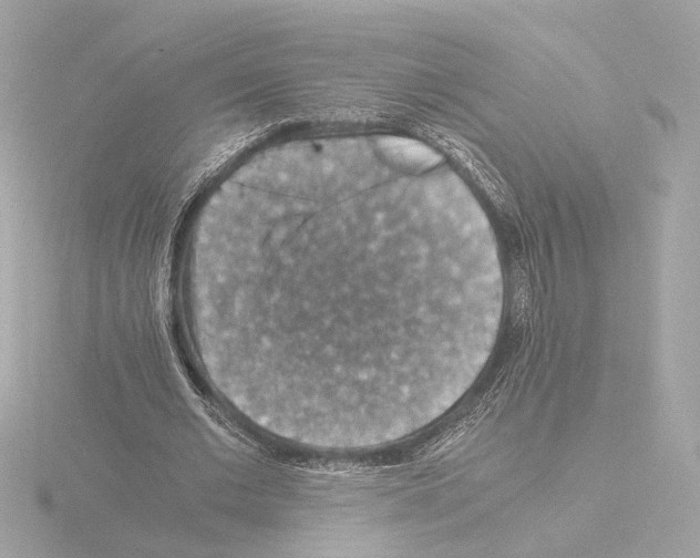 X0000115510677200912181445