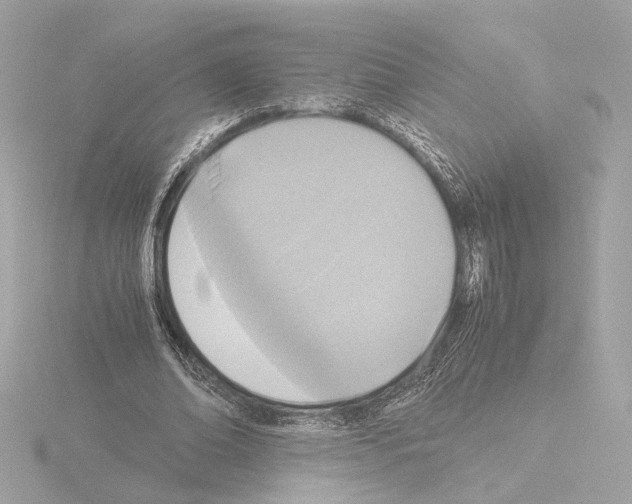 X0000115510678200912181445