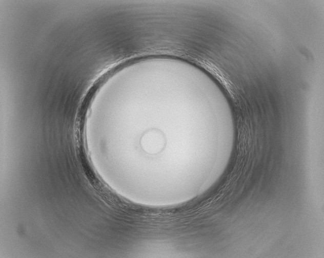 X0000115510680200912181445