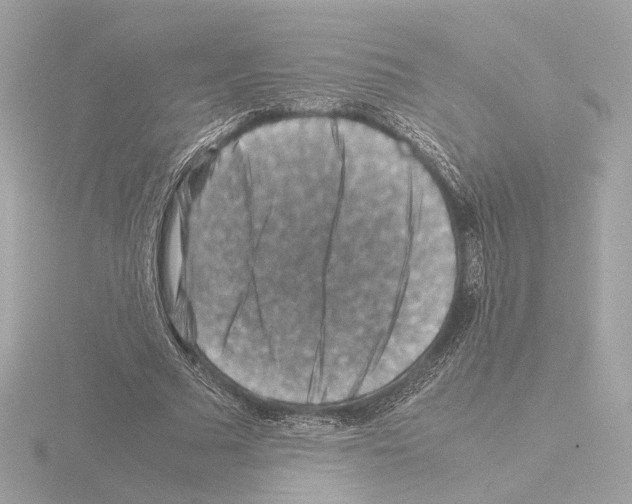 X0000115510681200912181445