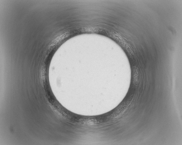 X0000115510683200912181445