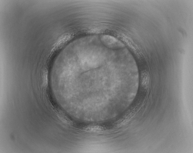 X0000115510685200912181445