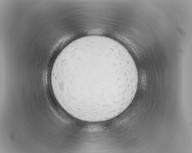 X0000115510686200912181445