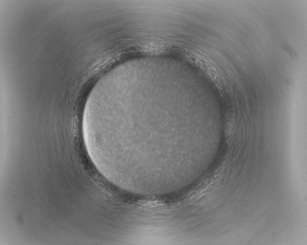 X0000115510689200912181445