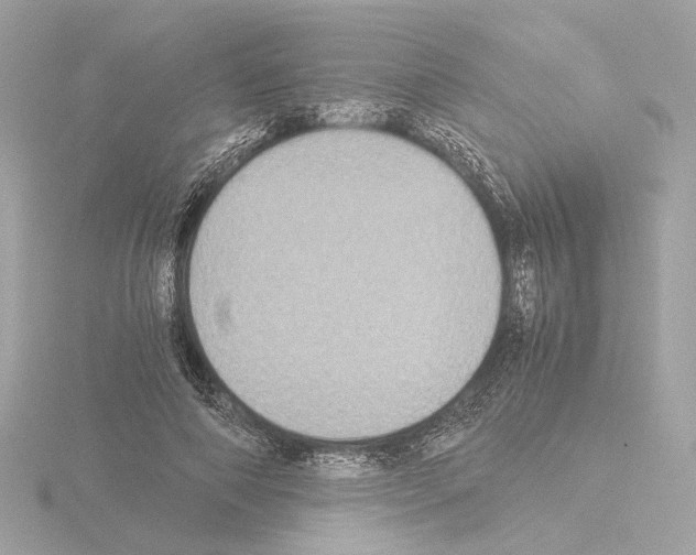 X0000115510690200912181445