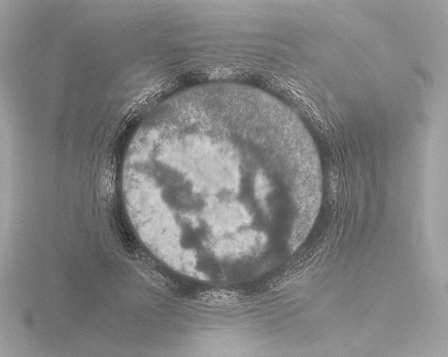 X0000115510691200912181445