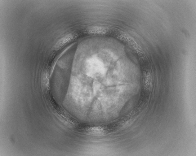 X0000115510692200912181445