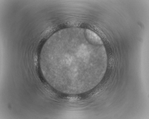 X0000115510693200912181445