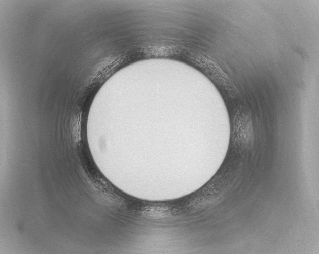 X0000115510694200912181445