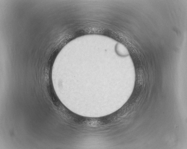 X0000115510695200912181445