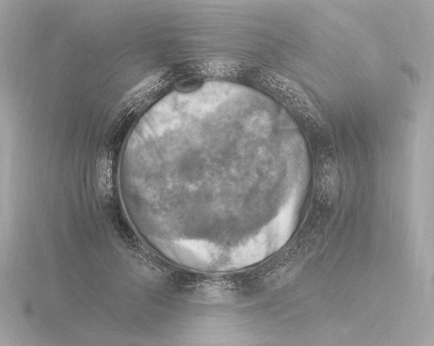 X0000115510696200912181445