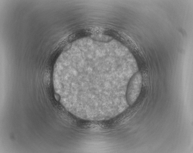 X0000115510697200912181445