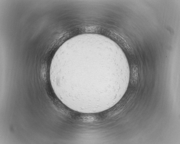 X0000115510698200912181445