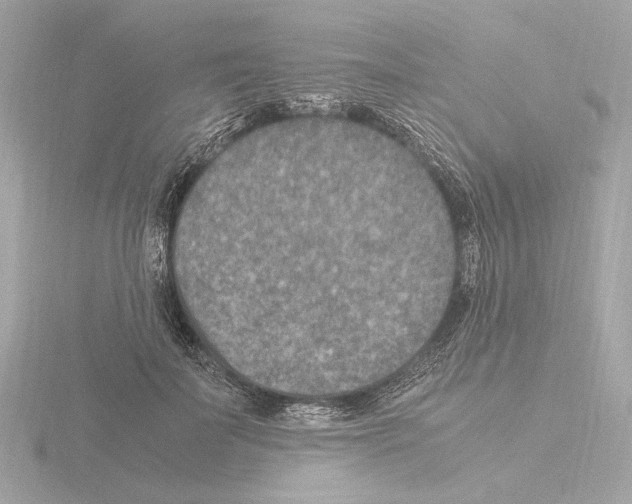 X0000115510699200912181445