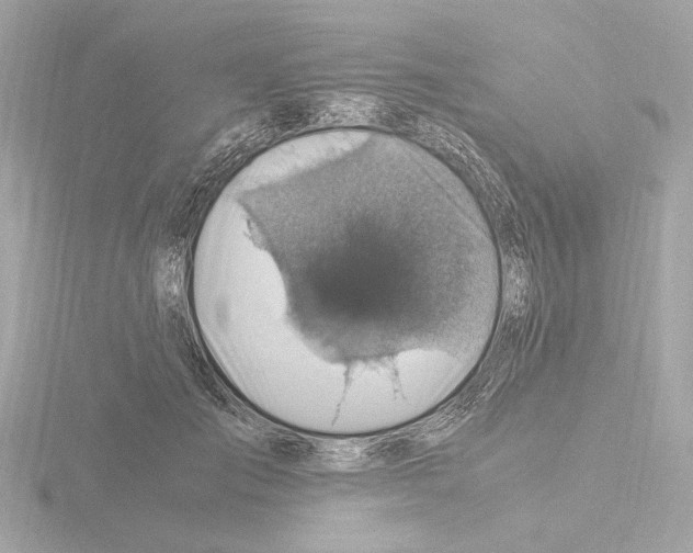 X0000115510701200912181445