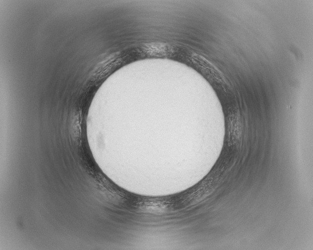 X0000115510702200912181445