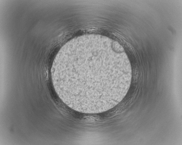 X0000115510703200912181445